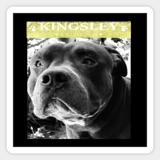 kingsley Magnet